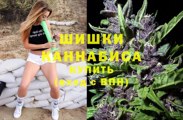 прущая мука Новодвинск