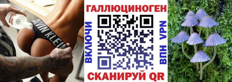 MEGA онион  Чулым  shop Telegram  Галлюциногенные грибы мухоморы 